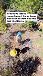 🌲 Healthy forests don’t just happen on their own; active forest management helps get them there. By thinning overcrowded trees, reducing hazardous fuels, and restoring natural balance, forest management: ✔️ Lowers wildfire risk ✔️ Improves wildlife habitat ✔️ Supports healthier trees and water resources ✔️ Creates safer spaces for recreation Care today means stronger, more resilient forests tomorrow. Video: Fuels reduction work at Spooner Lake & Backcountry State Park, a Tahoe Environmental Imp