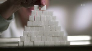 Zucker – das moderne Gift