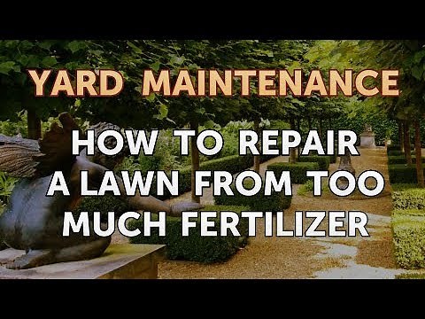 How to Repair a Lawn From Too Much Fertilizer