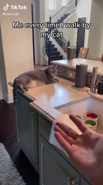 Deciphering the Mysterious 'Mink Mink Mink' Phenomenon