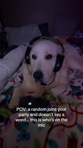 who tryna run duos with him 🤷🏼‍♀️ | party