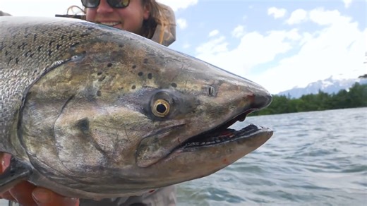 404K views · 10K reactions | If you didn't get a chance to watch TYEE: The Salmon Chronicles of Chile last night when it dropped, you definitely want to carve out an hour today! Straight fire!  | Addicted Fishing | Facebook