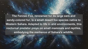 Unveiling the Wildlife Wonders: Top 10 Native Fauna in Western Sahara