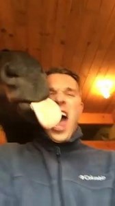 This is taking French kissing to a whole new level... LOL | Late Night Viral Videos