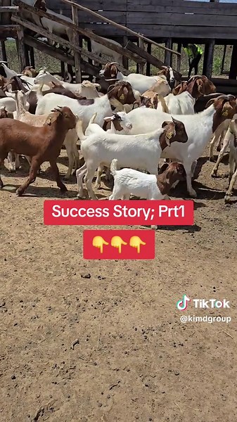 Success Story: Growing a Successful Goat Farming Venture