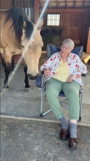 Seen by a Horse: The Power of Equine Therapy #equinetherapy #stressrelief #calm