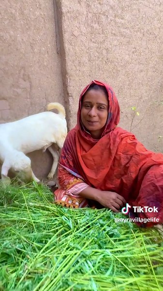 Exploring Life in a Traditional Mud House
