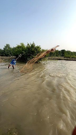 669K views · 5.4K reactions | Big Fish Hunter by the cast net #reels #viral #fish #foryou #bigfish #fishinglife #CastNetFishing | Village Fishing | Facebook