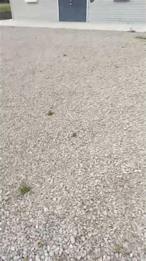 finding my way home part 2