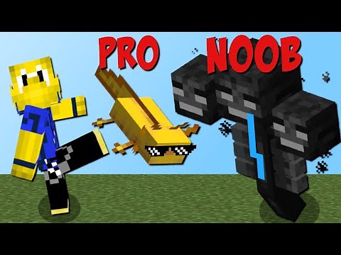 Axolotl besiegt Wither!