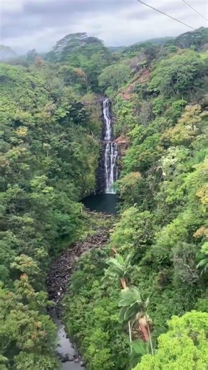 Ziplining Above a Waterfall in Hawaiʻi 🌿 Big Island Adventure