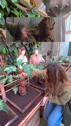 📍El MEJOR lugar para disfrutar del mundo de Harry Potter #harrypotter #viajar