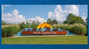 North Carolina Zoo to reopen next week