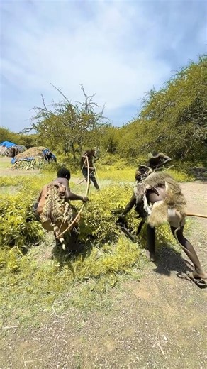 When the Hadza find prey in the trees #usa #africa #funny #india #brasil #indonesia #cute #comedy