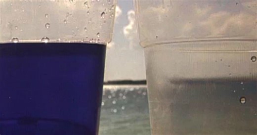 Ocean acidification in a cup | Encounter Edu