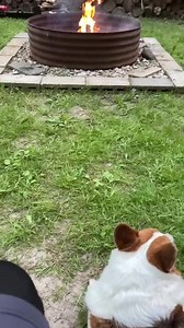 Michael Carey on Reels