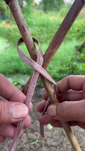 Best Bamboo Lashing Guide!🪢 #knot #rope #ropetutorial #knottying #knottutorial #fyp #trick #foryoupage #tent #usa #reels #diy | Knot Tricks