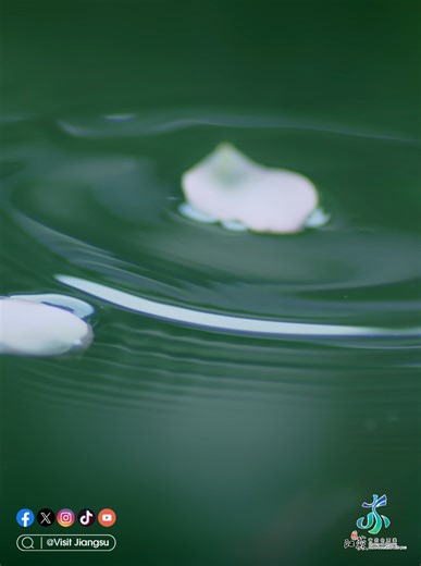 As the old saying goes, a spring rain brings up hundreds of grains. It’s Grain Rain today, the 6th solar term of the year, and in Jiangsu, it's a moment when we plant the seeds for the bountiful harvest ahead. #GrainRain #ChineseSolarTerm #CharmingJS | Visit Jiangsu
