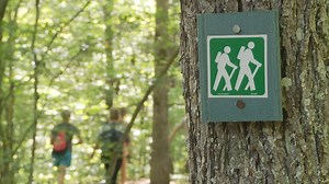 Tennessee's state parks offering free, guided hikes in June