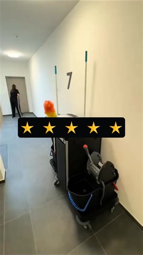 14 reactions | Discover types of cleaning services that keep homes and offices spotless | Blogging Life | Facebook