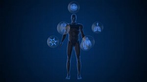 Human organs with body scan concept