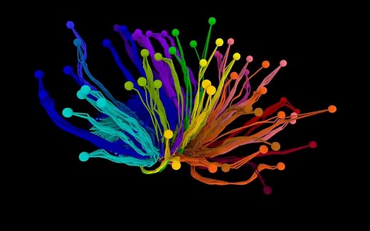 1.3K views · 99 reactions | Inside the Allen Mouse Brain Connectivity...