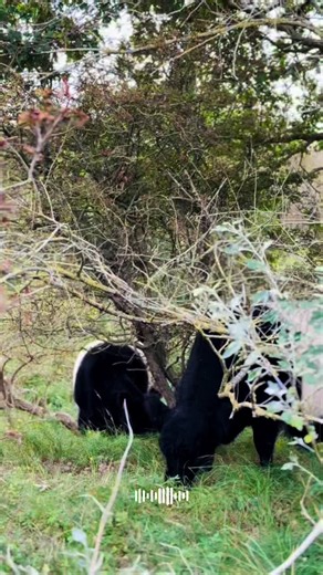 Too fast too…fast-forward 😂