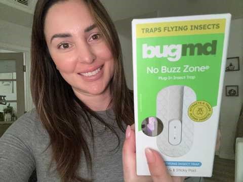 My honest review of the BugMD fruit fly trap