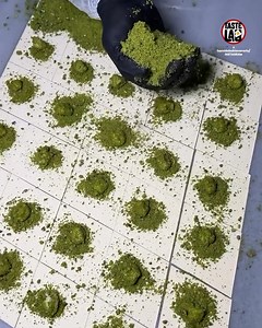 Layered, crispy, and soaked in syrup—this baklava is packed with rich pistachios and pure flavor. A true classic! 😋 | Taste Lab