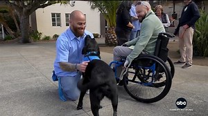 7.4M views · 170K reactions | An emotional moment at San Quentin prison in California played out when 2-year-old black Labradors were reunited with inmates Jared Hansen and Chase Benoit, who helped train the pups to be service dogs for people with disabilities. Whit Johnson shares the story. https://abcnews.link/q3M1N14 | ABC World News Tonight with David Muir | Facebook