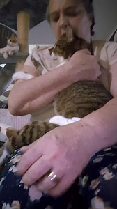 Ursu incepe iar sa aiba probleme. Vomita . Observ ceva ciudat la urina. Fibrine mici albe. Mergem sa spalam vezica ,si sa il vada dr . Nu raspunde ok la antibiotic. Repet urina. | Eugenia Comiza