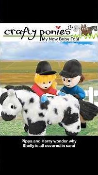 Shelly Shetland’s big adventure! #craftyponies #toypony #educational #ridingschool #kidstuff