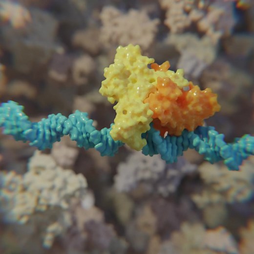 822K views · 9.4K reactions | The restriction enzyme EcoRI cuts a strand of viral DNA | Ribosome Studio | Facebook