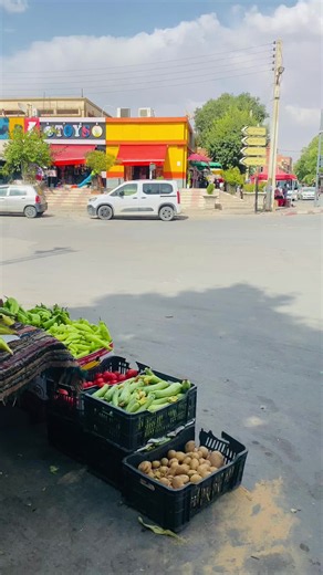Setif market tour: what to buy in Sétif (الستيف)