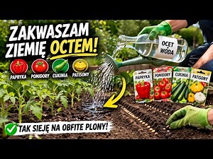 PH 8,5! Tanie zakwaszanie gleby, sadzenie nasion i nowe pisklaki