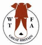 Wire Fox Terrier Association