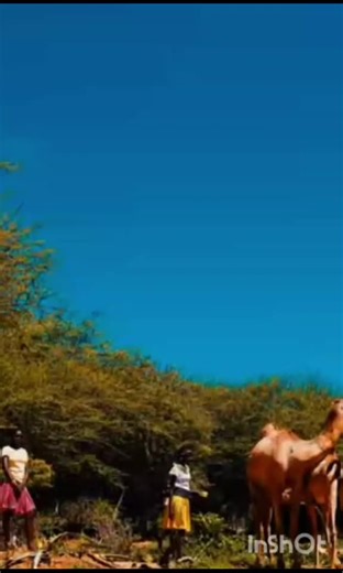 teso new music 2025.#tesomusic #sorotitiktokers #teso