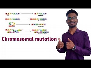 Chromosomal mutation | deletion, translocation, duplication and inversion mutation