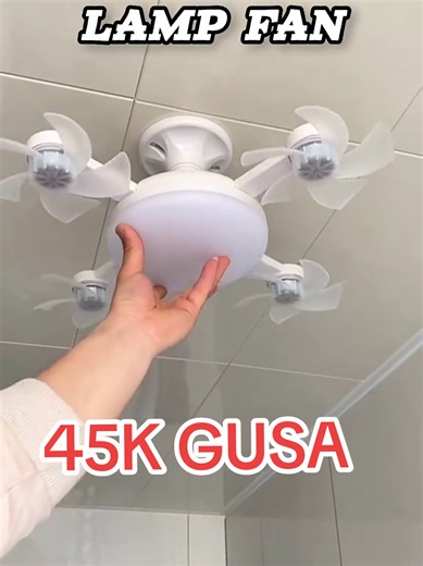 Lamp fan