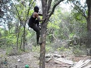 Climb a tree like a bear with these ninja hand claws