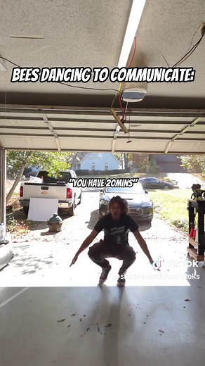 Merch drop this friday link in bio #humor #shepherdsebastian ##beesdancingtocommunicate