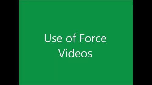 Ethics & Excessive Force Video Analysis for POL