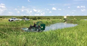 Body parts found in gator after Florida man discovered dead