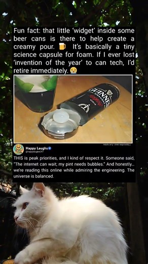 Beer Can Widget Explained: How It Creates Creamy Foam