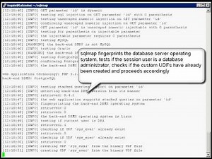 Official sqlmap video demonstration 8