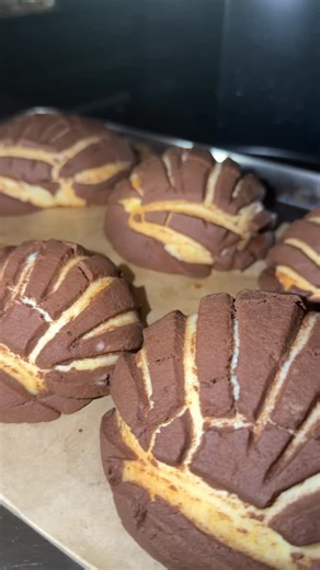 Vane on Instagram: "Conchas"