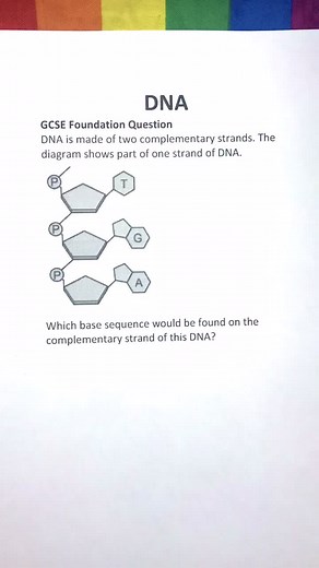 DNA Complementary Base Pairing | Biology GCSE Revision