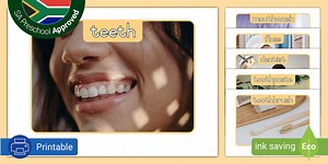 Preschool: Teeth and The Dentist: Display Photos
