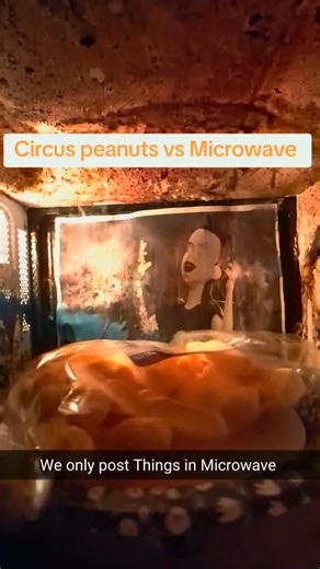 Things In Microwave on Instagram: "Follow @thingsinmicrowave for more."