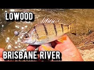 Brisbane River Fishing Spots Lowood